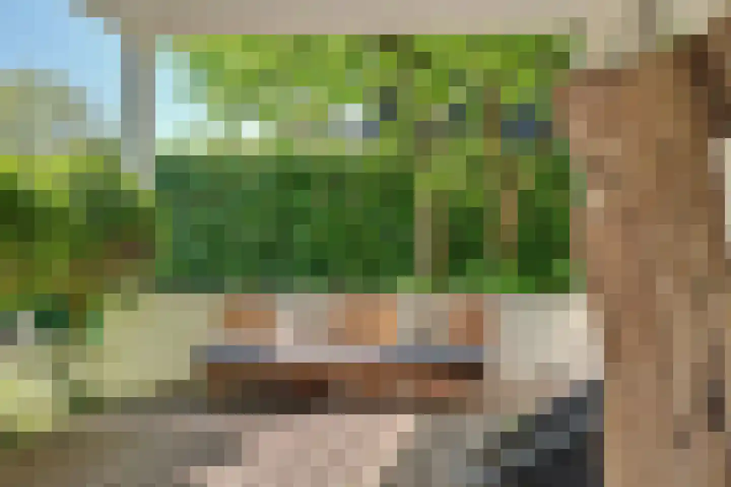 Van Polanenstraat 47 Hendrik-Ido-Ambacht thumbnail 67