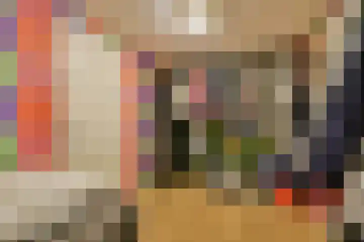 Van Polanenstraat 62 Hendrik-Ido-Ambacht thumbnail 22