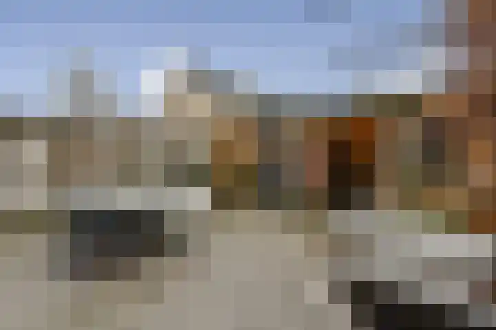 Van Polanenstraat 62 Hendrik-Ido-Ambacht thumbnail 4
