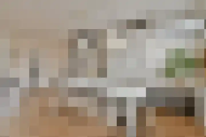 Van Polanenstraat 62 Hendrik-Ido-Ambacht thumbnail 7