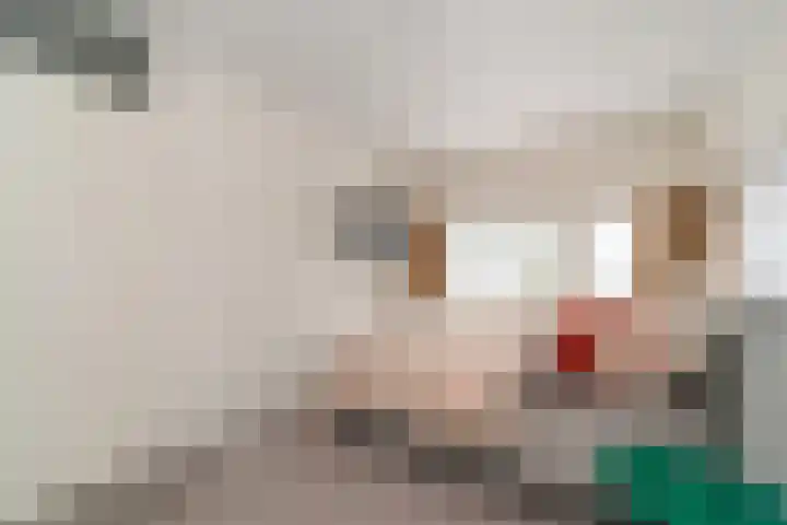 Van Pomerenvaart 2 Den Haag thumbnail 19