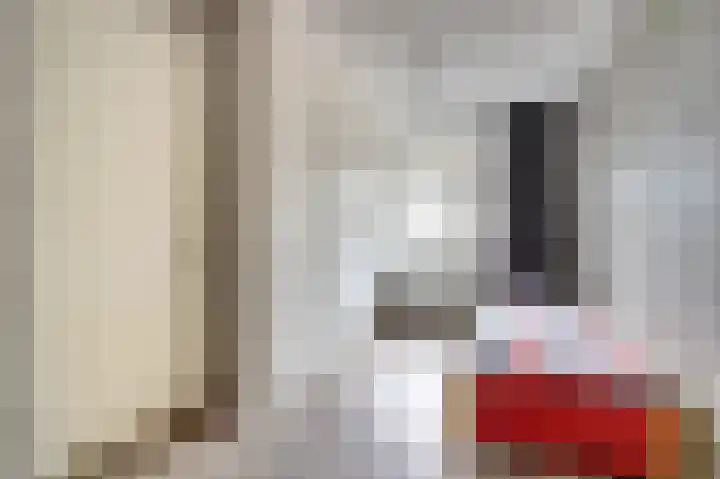 Van Pruisenstraat 8 Wateringen thumbnail 12