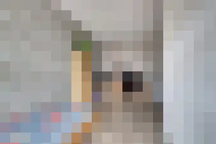 Van Pruisenstraat 8 Wateringen thumbnail 13