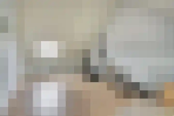 Van Pruisenstraat 8 Wateringen thumbnail 17