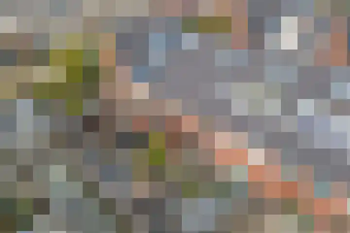 Van Pruisenstraat 8 Wateringen thumbnail 21