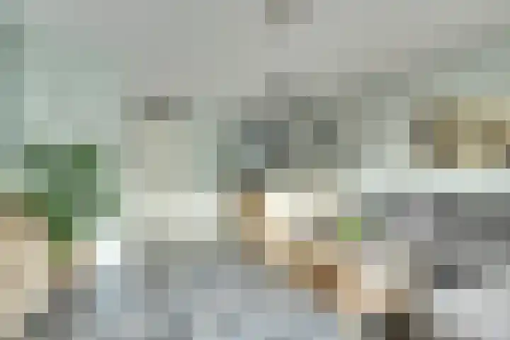 Van Pruisenstraat 8 Wateringen thumbnail 4