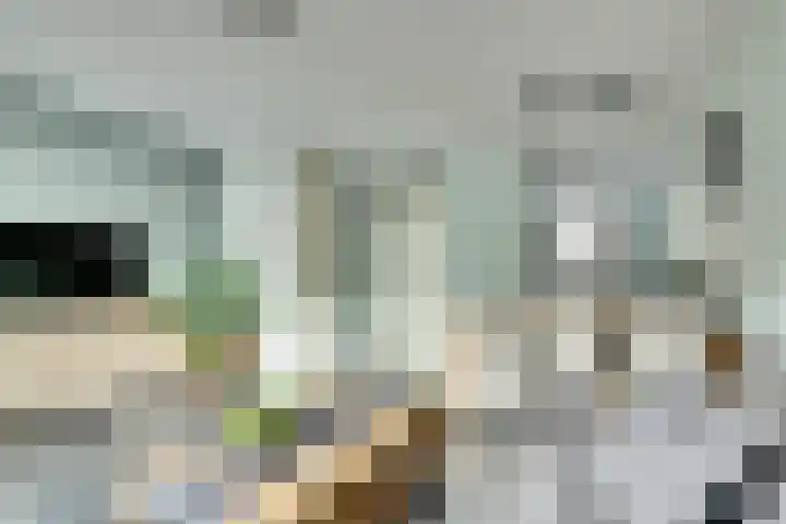 Van Pruisenstraat 8 Wateringen thumbnail 5