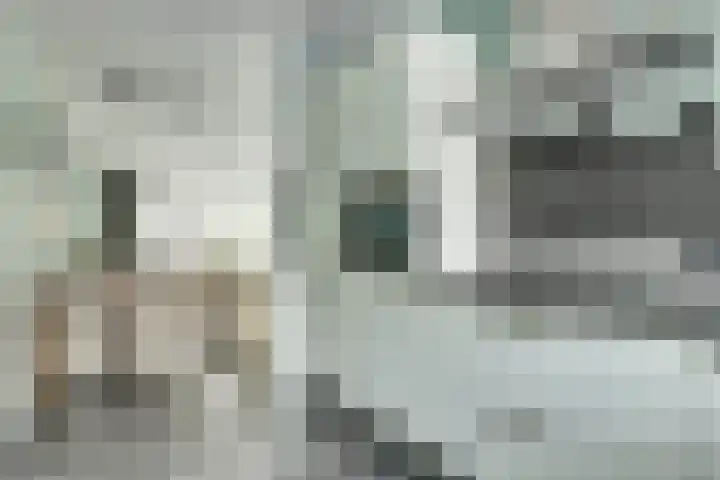 Van Pruisenstraat 8 Wateringen thumbnail 8
