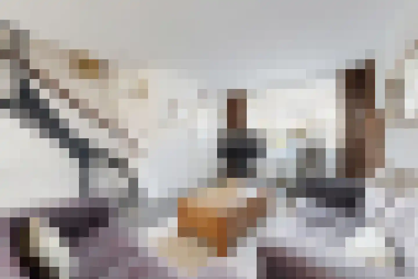 Van Puttenstraat 12 Klundert thumbnail 13