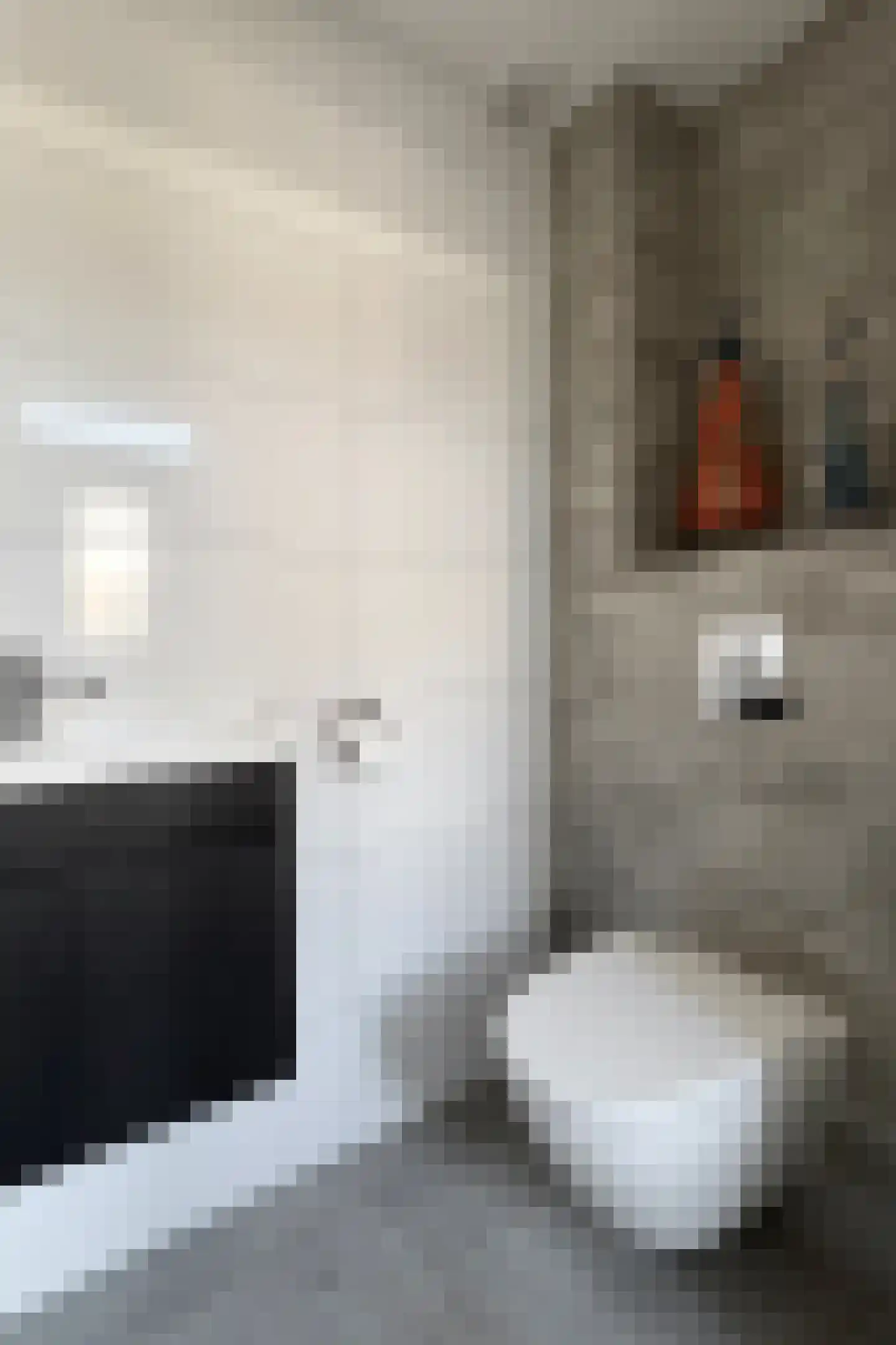 Van Puttenstraat 12 Klundert thumbnail 9