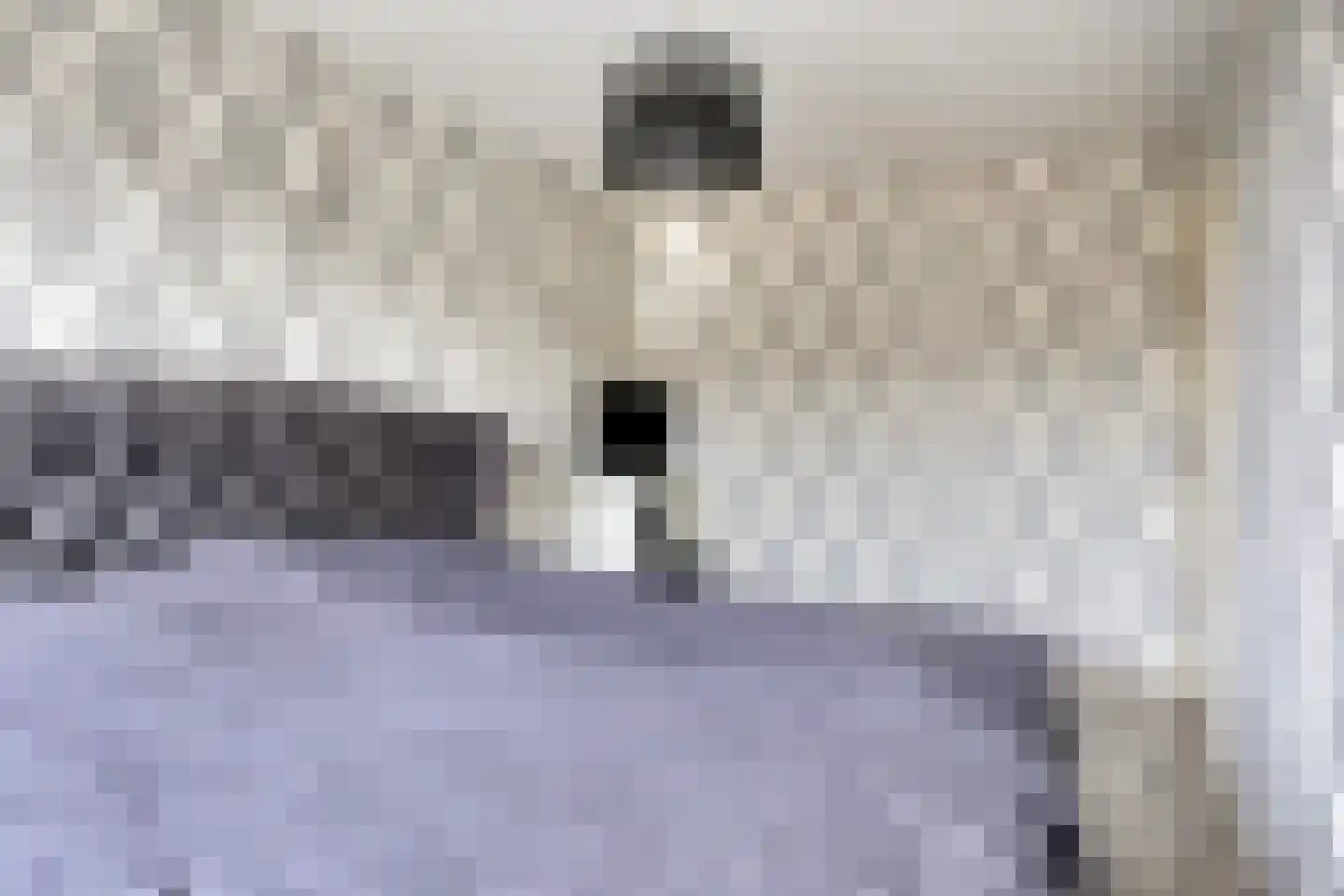 Van Puttenstraat 14 Klundert thumbnail 22