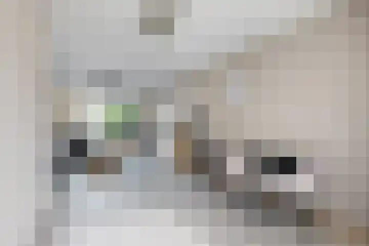 Van Puttenstraat 20 Klundert thumbnail 18