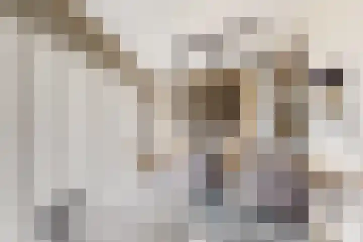 Van Puttenstraat 20 Klundert thumbnail 21