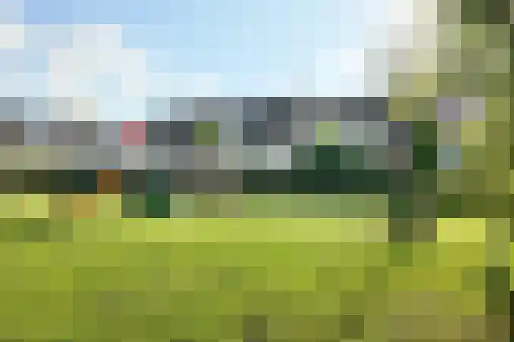 Van Puttenstraat 20 Klundert thumbnail 6