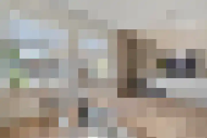 Van Raasfeldmarke 46 Zwolle thumbnail 13