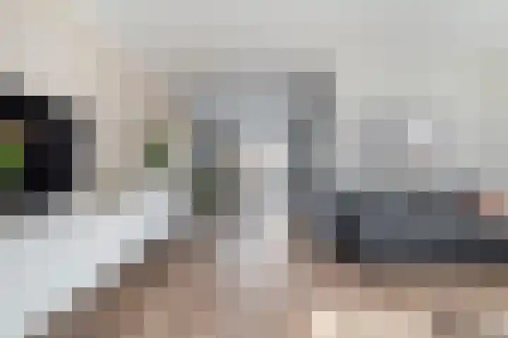 Van Raasfeldmarke 46 Zwolle thumbnail 15