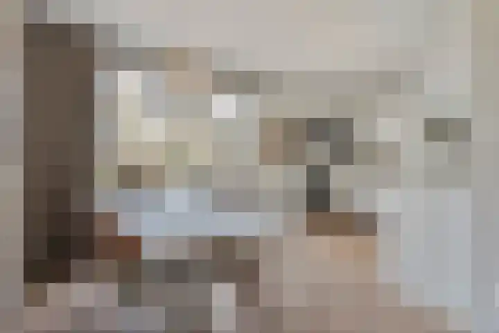 Van Raasfeldmarke 46 Zwolle thumbnail 16