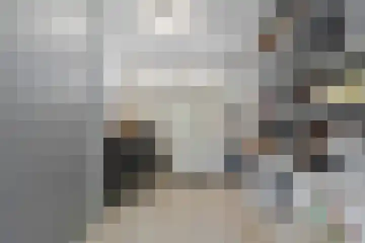 Van Raasfeldmarke 46 Zwolle thumbnail 22