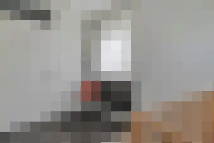 Van Raasfeldmarke 46 Zwolle thumbnail 33