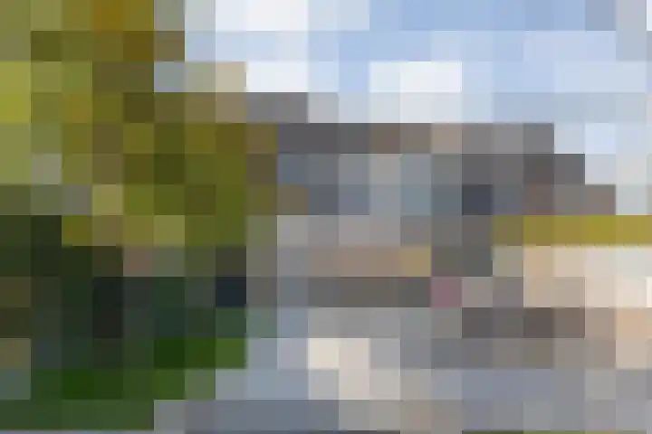 Van Raasfeldmarke 46 Zwolle thumbnail 36