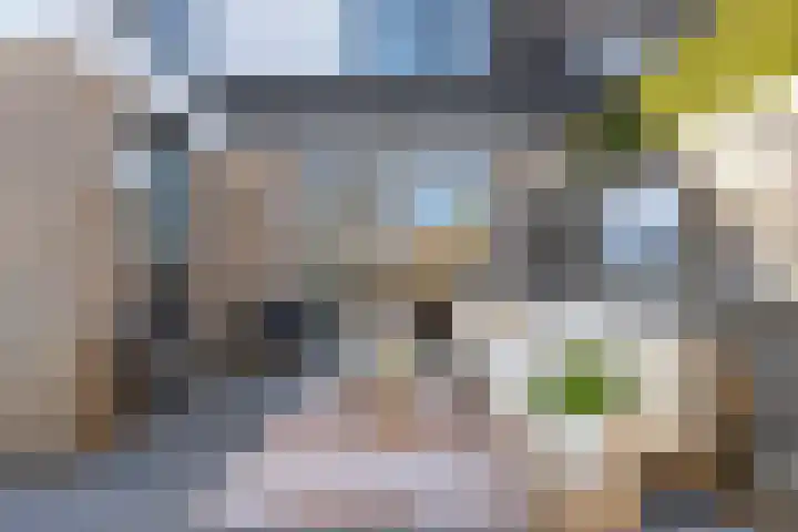 Van Raasfeldmarke 46 Zwolle thumbnail 37