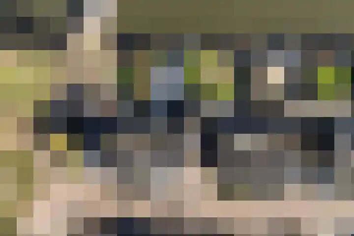 Van Raasfeldmarke 46 Zwolle thumbnail 4