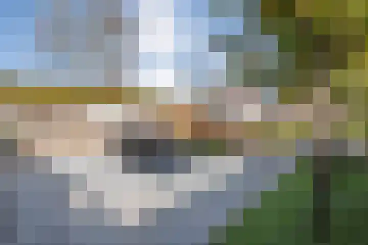 Van Raasfeldmarke 46 Zwolle thumbnail 40
