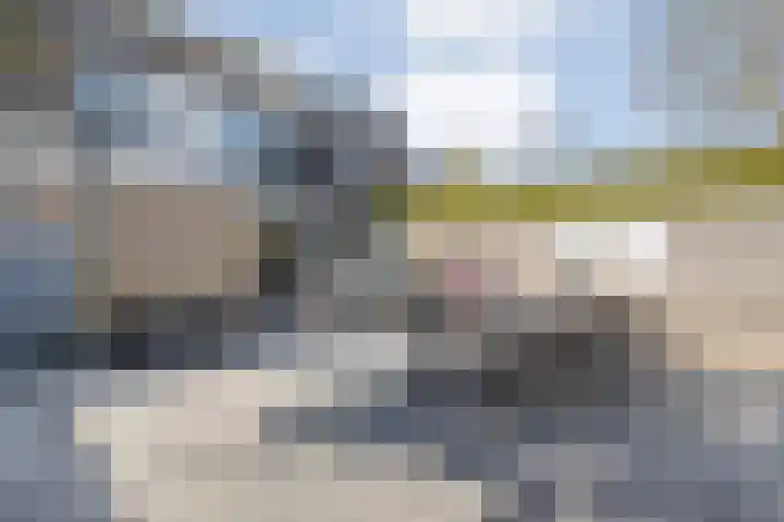 Van Raasfeldmarke 46 Zwolle thumbnail 41