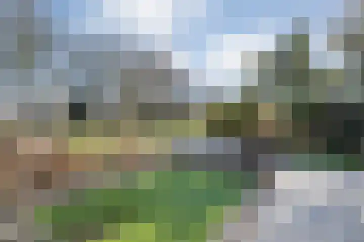 Van Raasfeldmarke 46 Zwolle thumbnail 42