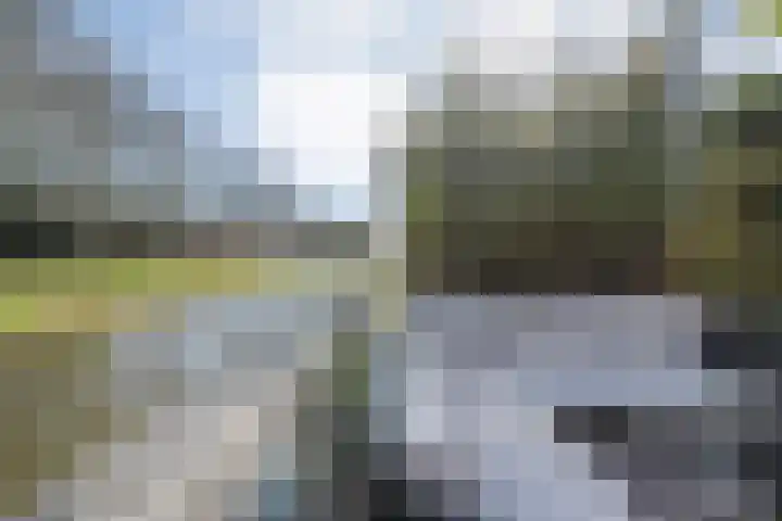 Van Raasfeldmarke 46 Zwolle thumbnail 44
