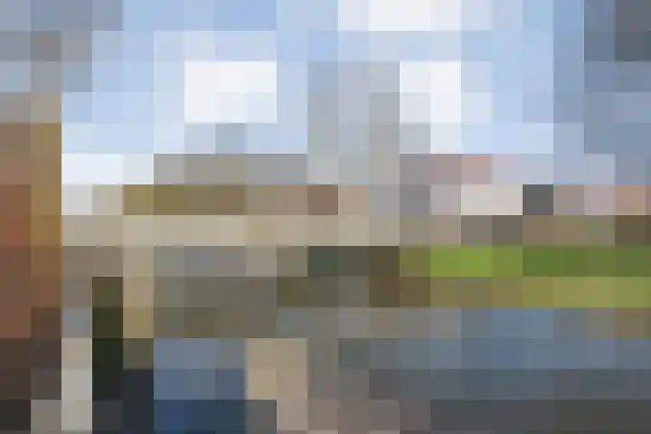 Van Raasfeldmarke 46 Zwolle thumbnail 45
