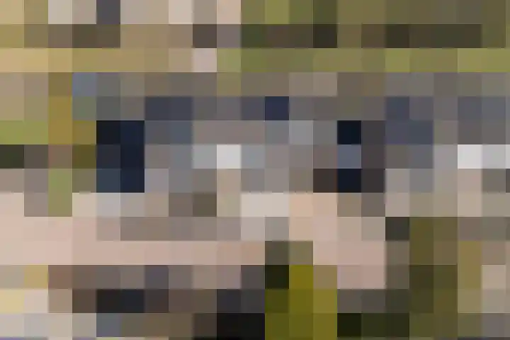Van Raasfeldmarke 46 Zwolle thumbnail 46