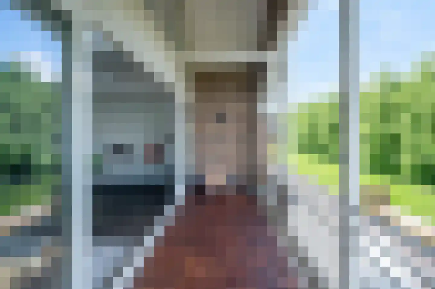 Van Raemdonckstraat 30 Almere thumbnail 25