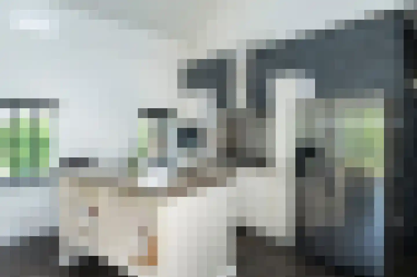 Van Raemdonckstraat 30 Almere thumbnail 5
