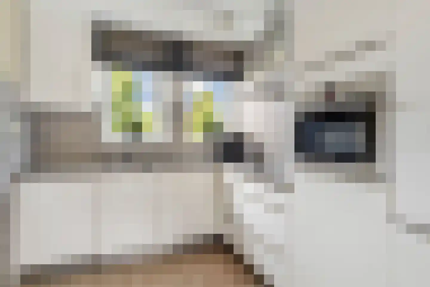 Van Raemdonckstraat 50 Almere thumbnail 11