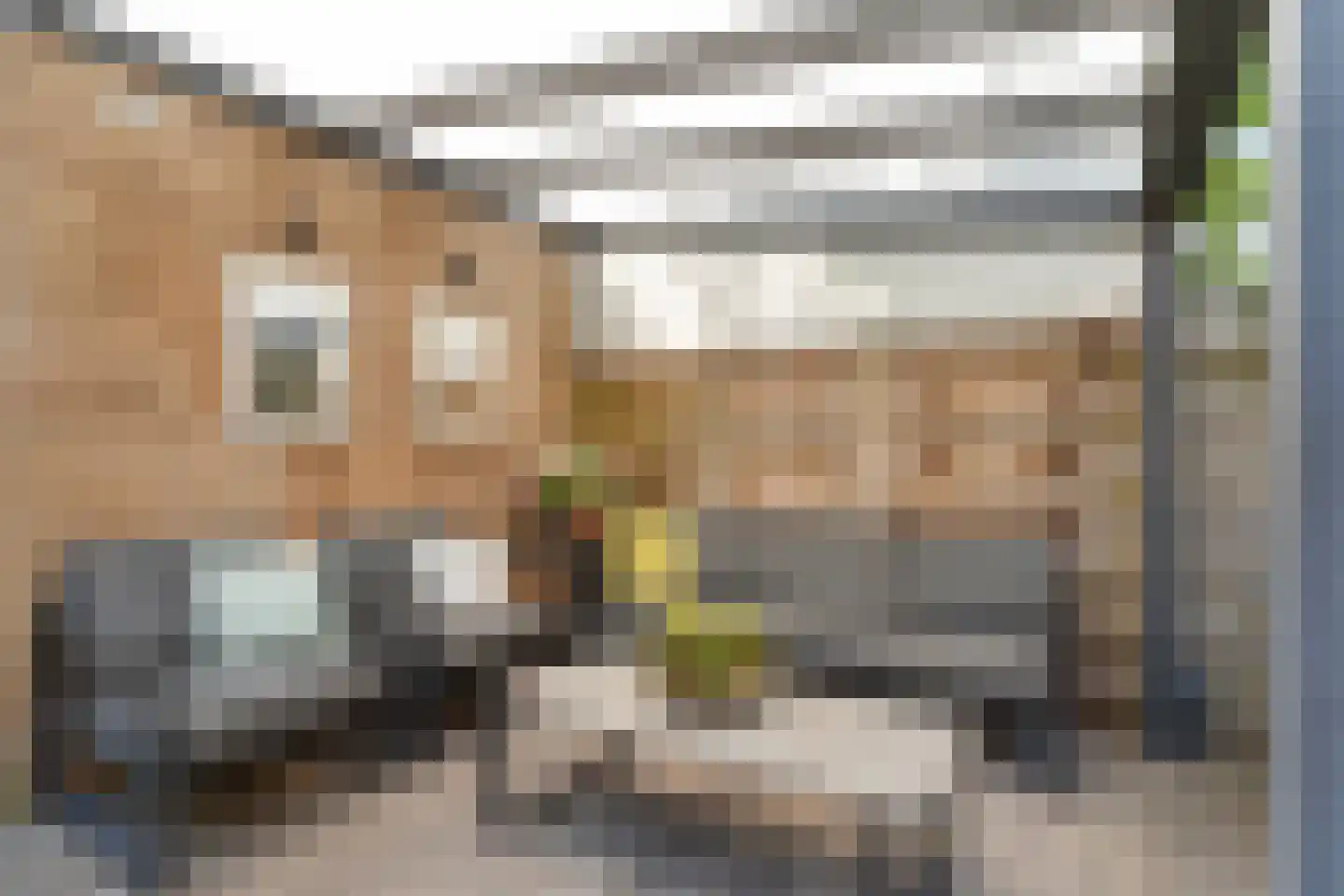 Van Raemdonckstraat 50 Almere thumbnail 32
