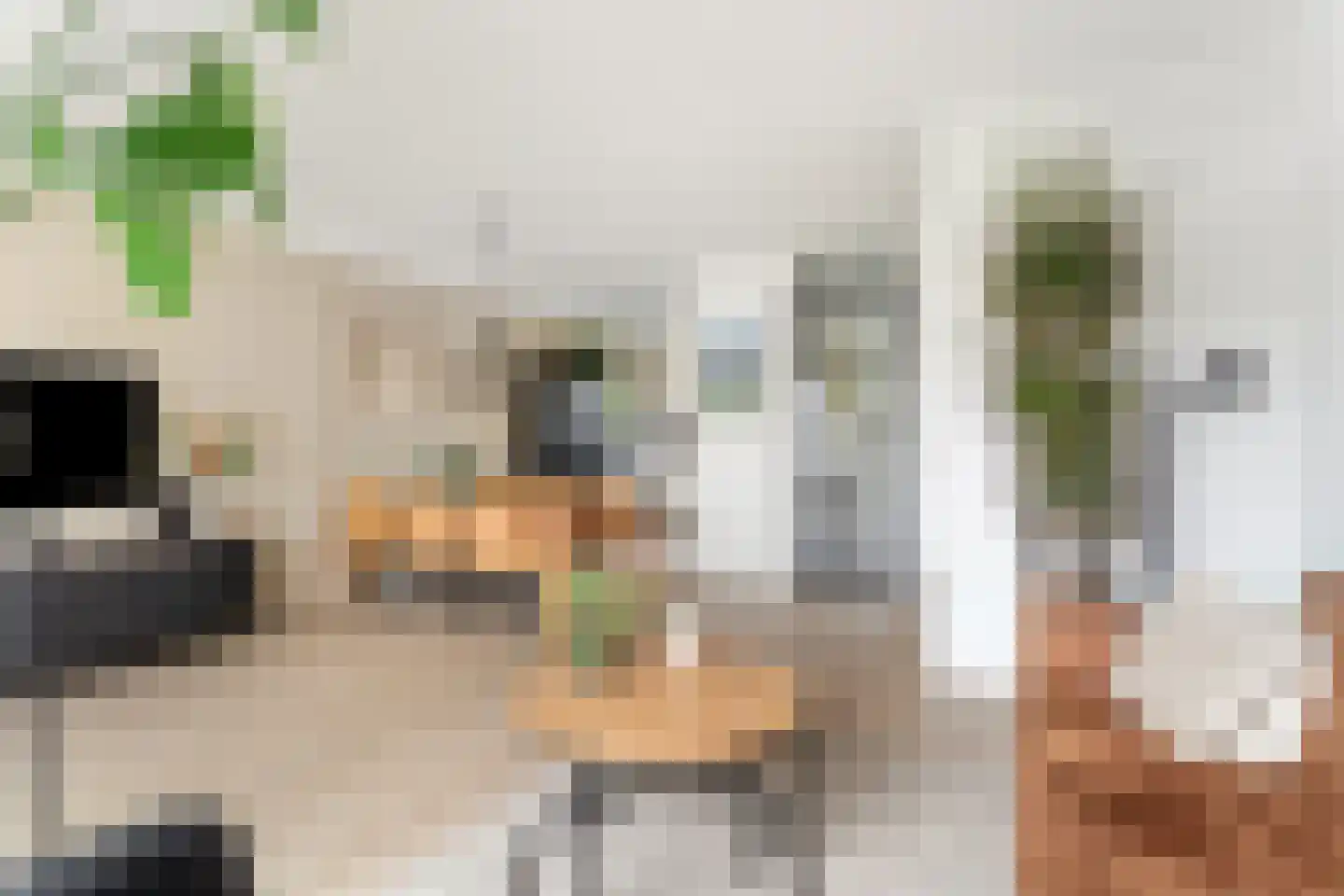 Van Raemdonckstraat 50 Almere thumbnail 8