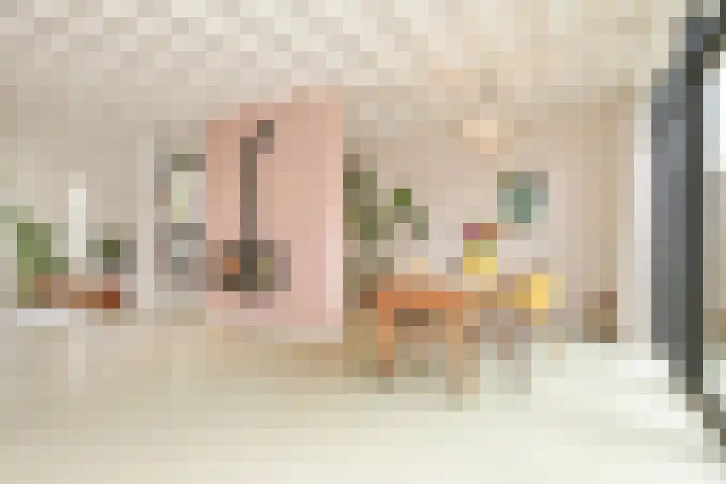 Van Raephorststraat 22 Haarlem thumbnail 11
