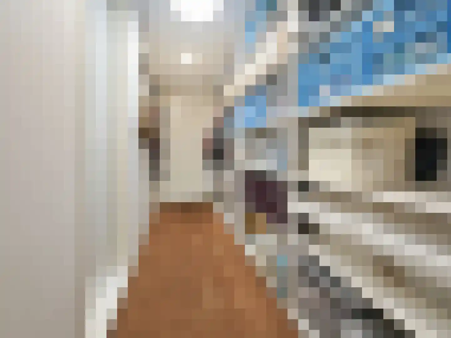 Van Raephorststraat 22 Haarlem thumbnail 35
