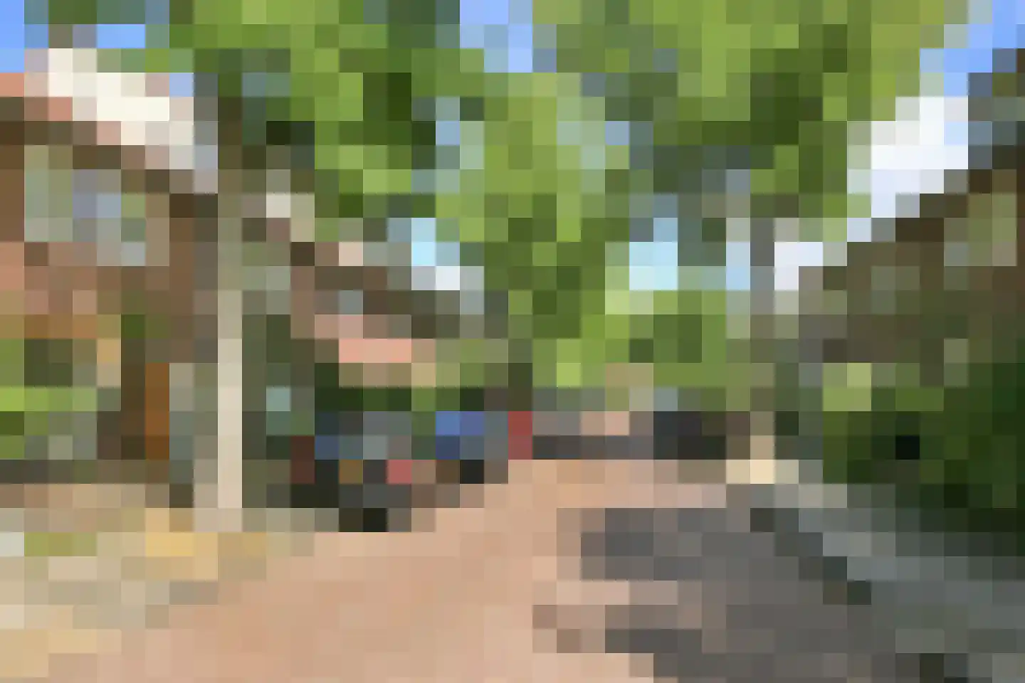 Van Raephorststraat 22 Haarlem thumbnail 57