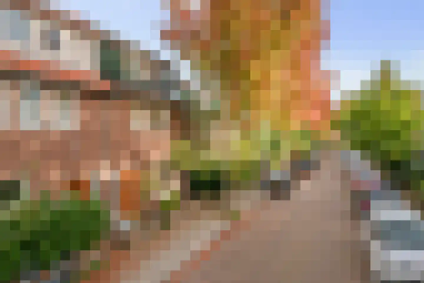 Van Raephorststraat 24 Haarlem thumbnail 39