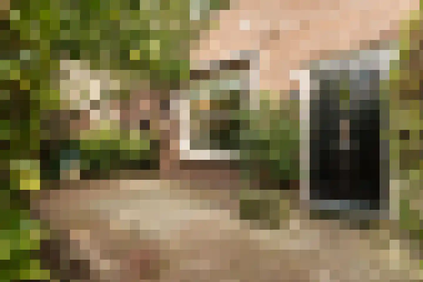 Van Raephorststraat 7 Haarlem thumbnail 10