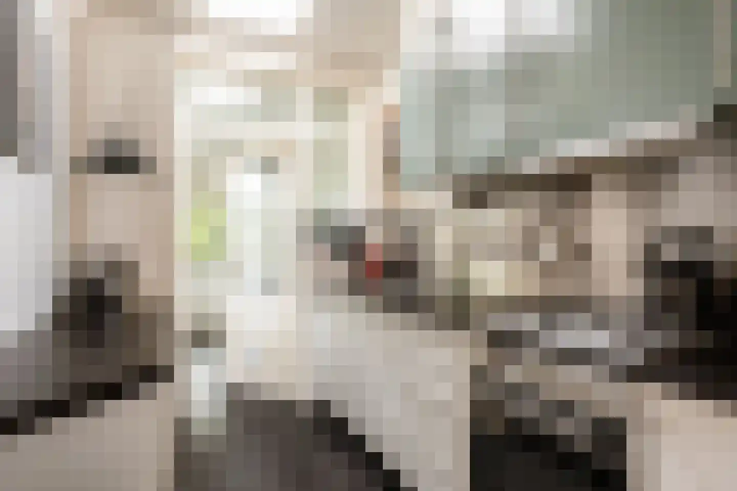 Van Raephorststraat 7 Haarlem thumbnail 18