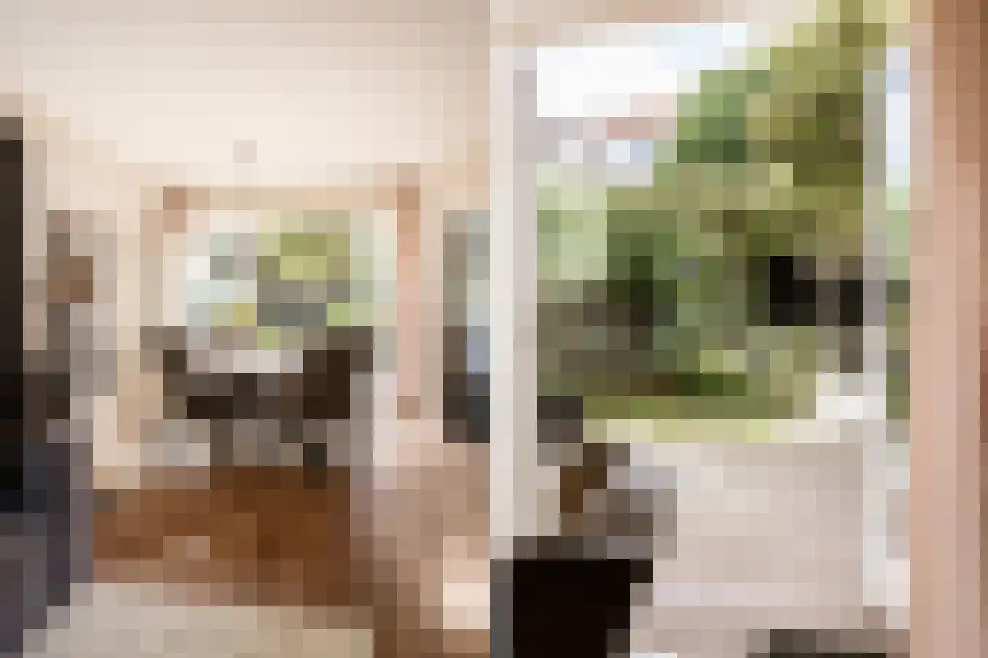 Van Raephorststraat 7 Haarlem thumbnail 20