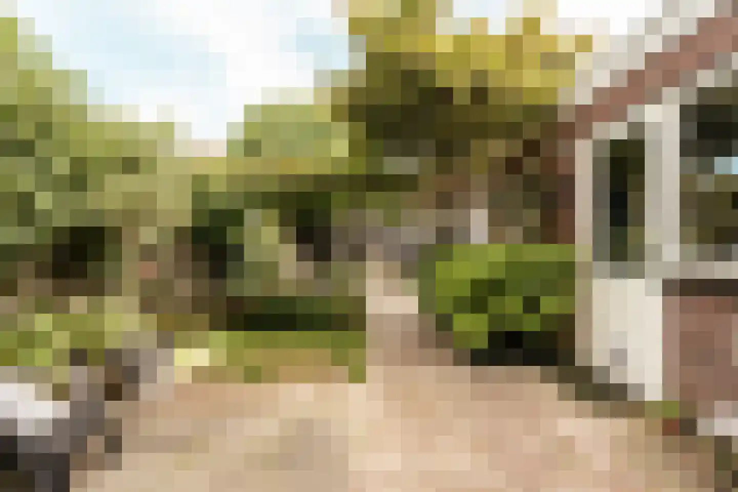 Van Raephorststraat 7 Haarlem thumbnail 22
