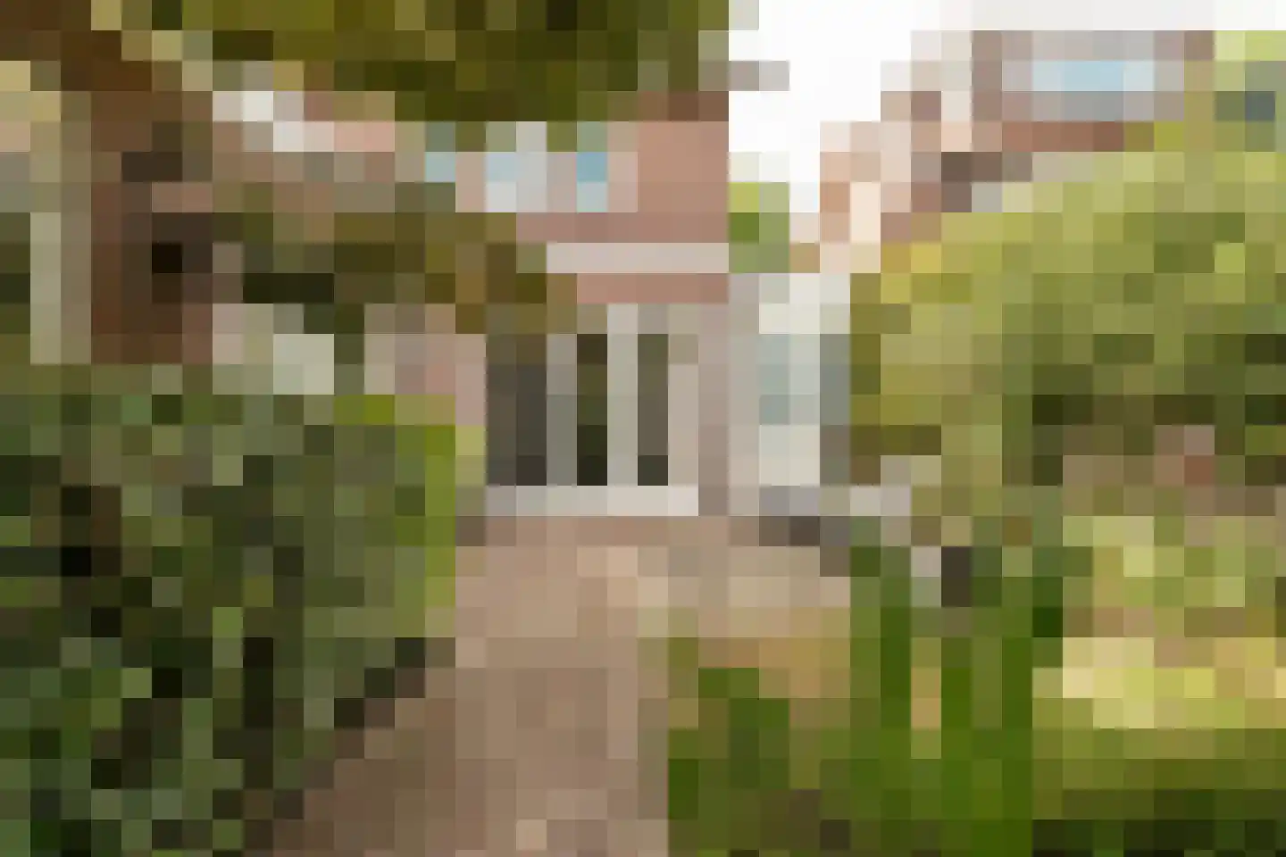 Van Raephorststraat 7 Haarlem thumbnail 25
