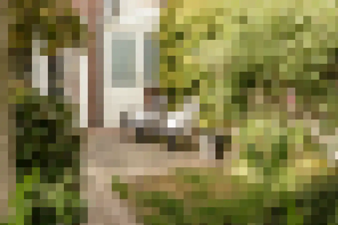 Van Raephorststraat 7 Haarlem thumbnail 27