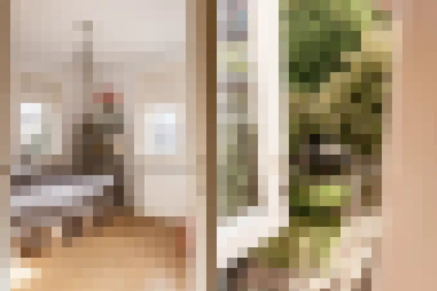 Van Raephorststraat 7 Haarlem thumbnail 32