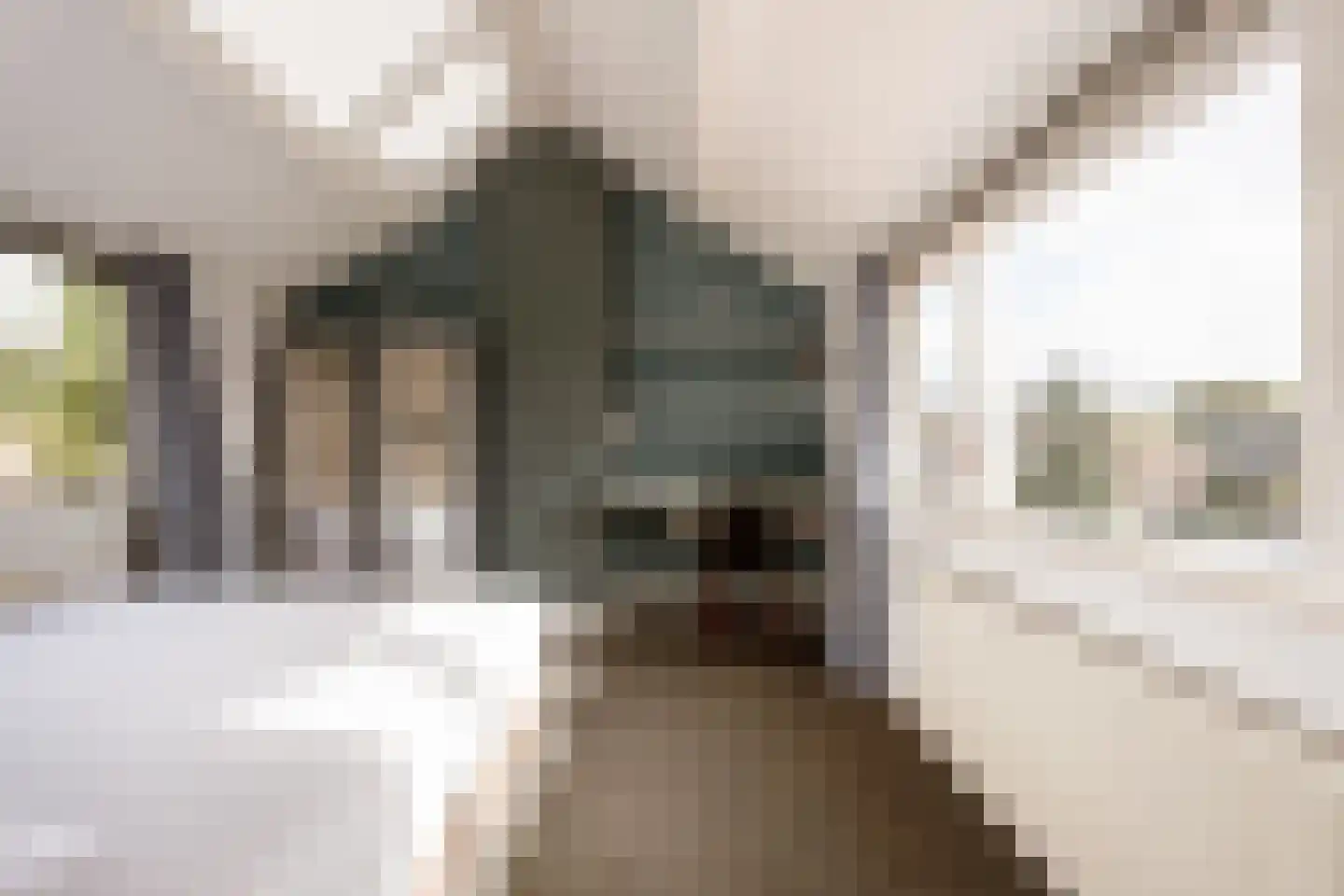 Van Raephorststraat 7 Haarlem thumbnail 36