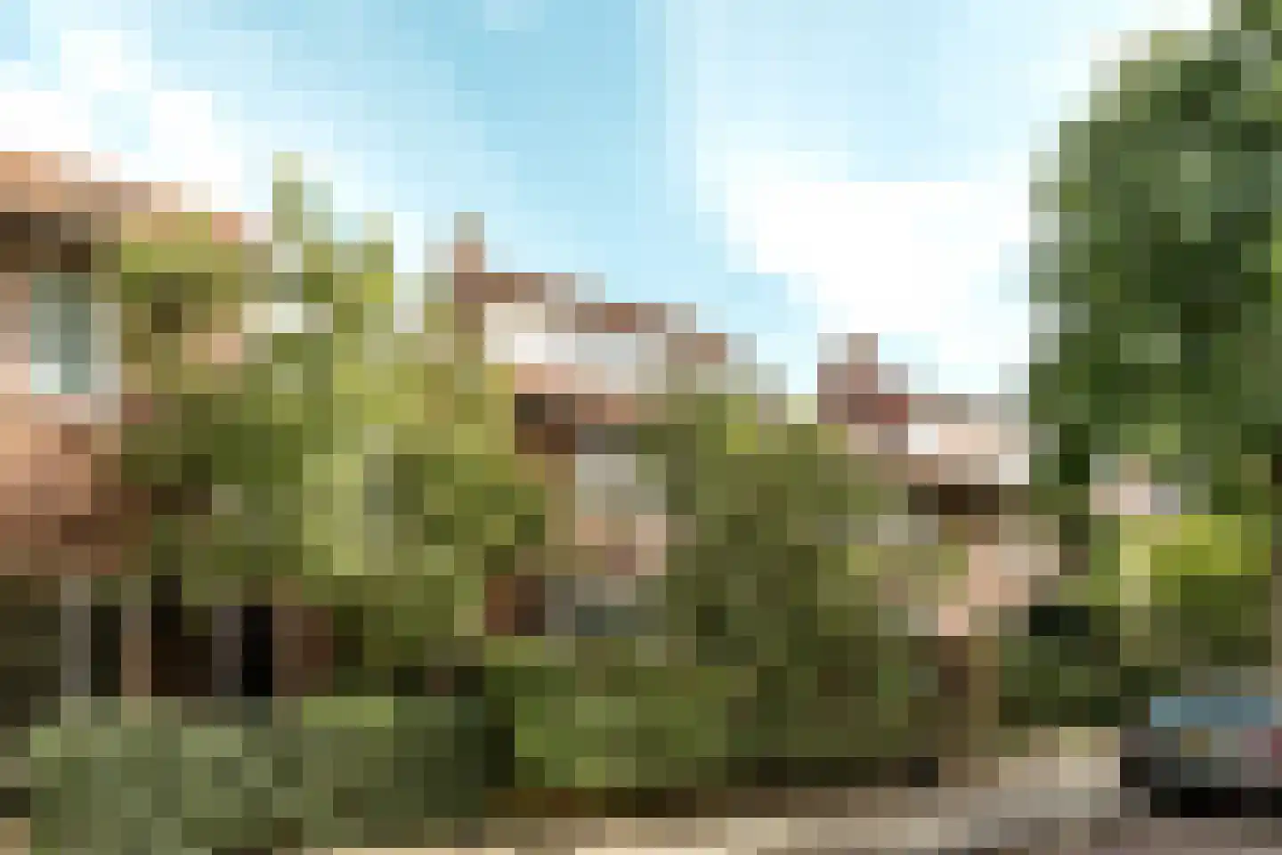 Van Raephorststraat 7 Haarlem thumbnail 39